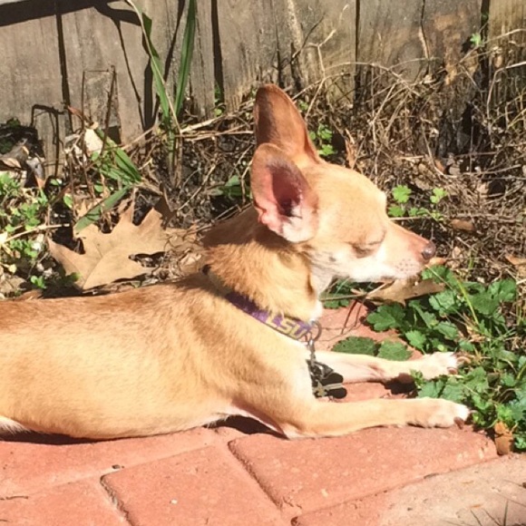 Profile Picture of Ashlee Fairburn (@ashlee529) on Poshmark