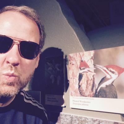 Profile Picture of Gerry Walls (@Gerry5959) on Twitter