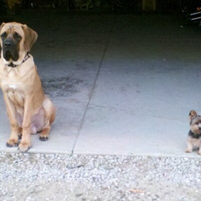 Mark Ruoff - Twitter Profile Picture of Mark Ruoff (@gordonfreak) on Twitter