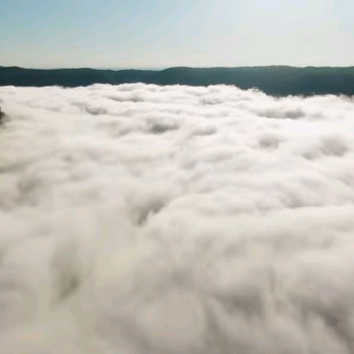Profile Picture of Deborah (@deborahpoo) on Tiktok