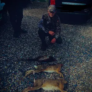 Profile Picture of Simon mercier🐗 (@simonmercier01) on Tiktok