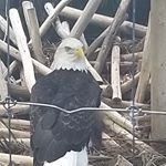 Profile Picture of Joseph Hanley (@joseph.theman.370) on Instagram