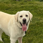 Profile Picture of August Larson (@GSwiZZ) on Youtube