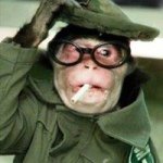 Profile Picture of Patrick Davin (@lord_titos) on Instagram