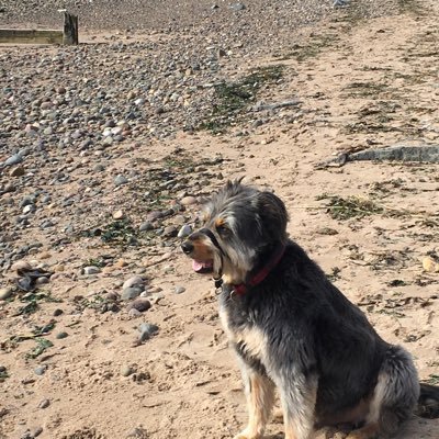 Profile Picture of Iona Ferry (@Angela1Sinclair) on Twitter