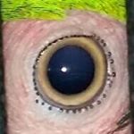 Profile Picture of Brian E Jackson (@brianjackson69) on Instagram