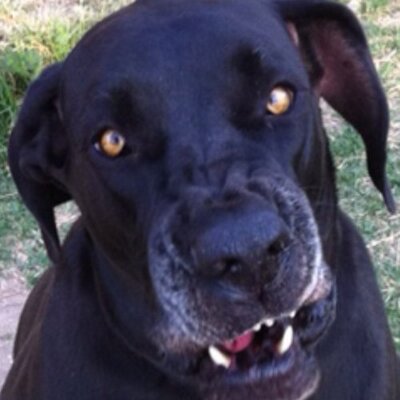 Profile Picture of Jennifer Stapleton (@blondi1477) on Twitter