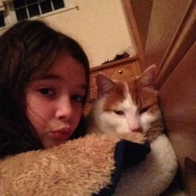 Profile Picture of Felix And Floyd (@felixthecutecat) on Twitter