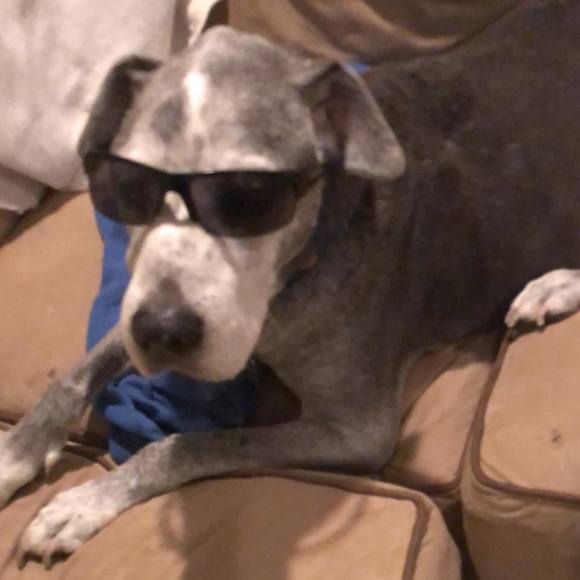 Profile Picture of Adam Burchenal (@adamburchenal) on Poshmark