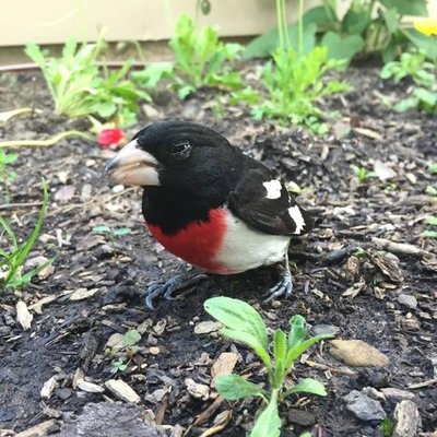 Mark Hockenberry - Twitter Profile Picture of Mark Hockenberry (@mhockenb101) on Twitter