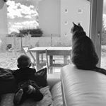 Max Collette - Instagram Profile Picture of Max Collette (@max.collette3) on Instagram