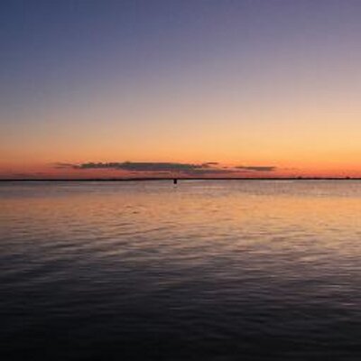 Profile Picture of Aaron Potts (@beachjunkie2007) on Twitter