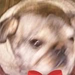 Profile Picture of David Trenholm (@davidtrenholm) on Instagram