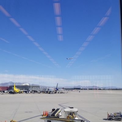 Profile Picture of Daniel Velazquez (@DanielV58751402) on Twitter