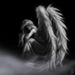Profile Picture of Joy Knotts (@joyjoyk) on Pinterest
