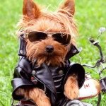 Profile Picture of Quinton Buchanan (@cody506277) on Instagram