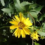 Profile Picture of Monika Ludwig (@ludwig6597) on Instagram