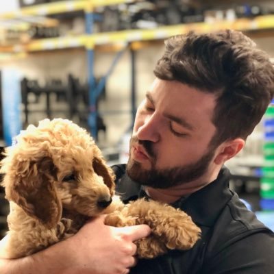 Profile Picture of Steven Phelps (@_phelpsy) on Twitter