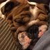 Profile Picture of Matthew Behm (@Matthew-Behm) on Facebook