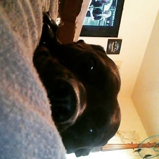 Profile Picture of tianna clark (@tiannaclark1) on Instagram