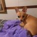 Profile Picture of Edna Pace (@edna.pace.35) on Facebook