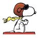 Profile Picture of Steven Schoenherr (@sgschoenherr) on Pinterest