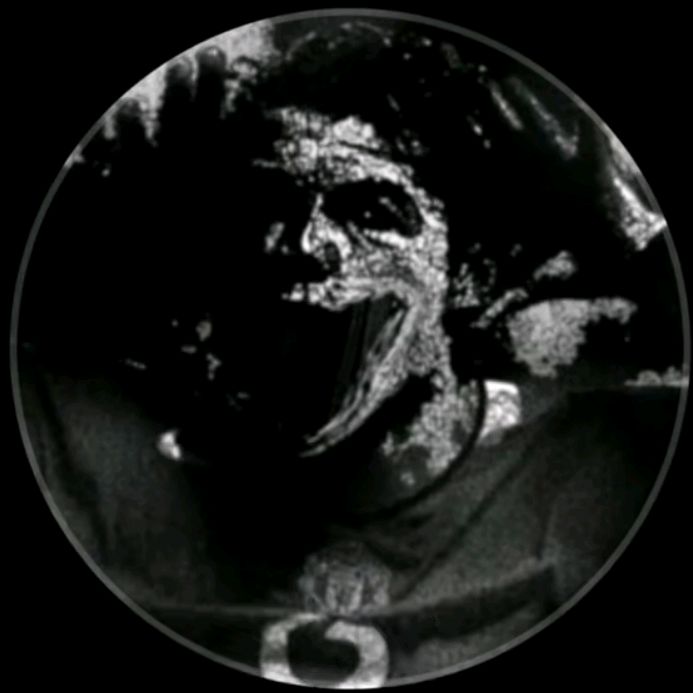 Profile Picture of Joshua (@mendez_joshua) on Tiktok