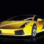 Gino Carbone - Instagram Profile Picture of Gino Carbone (@plumu) on Instagram