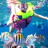 Profile Picture of Janet Kerr (@janet-kerr-13) on Quora