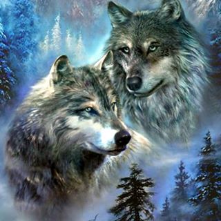 Profile Picture of Thomas Szymczak (@thomas.szymczak.33) on Facebook