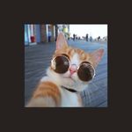 Profile Picture of Shrushti Karelia (@defaultasawesome___) on Instagram
