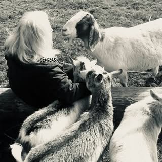 Profile Picture of Joy Heinz (@joy.heinz) on Instagram