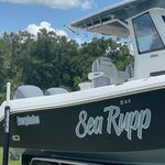 Profile Picture of Paul Arcuri (@b.b.n.33) on Instagram