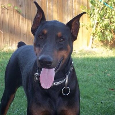 Profile Picture of Filemon Olvera (@folomaol74) on Twitter