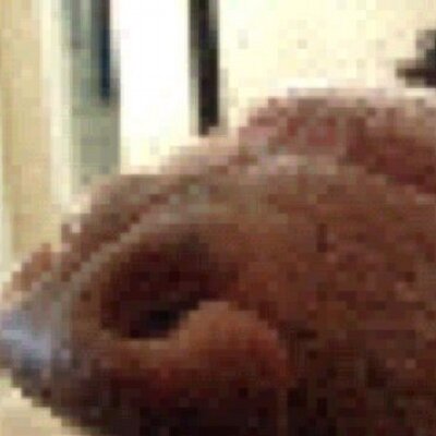 Profile Picture of James Lafleur (@texlaf) on Twitter