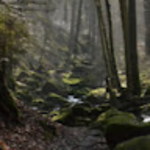 Profile Picture of Richard Cornelius (@richardcorne911) on Poshmark