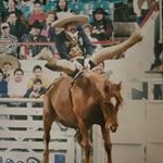 Profile Picture of Esteban Escobedo (@cowboy716) on Instagram