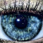 mark_sherer - Instagram Profile Picture of mark_sherer (@mark_sherer) on Instagram