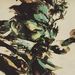 Profile Picture of Carlos Soares (@flinksm) on Pinterest