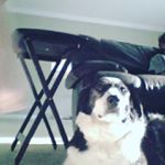 Profile Picture of harrison dowdy (@harrisonadowdy) on Instagram