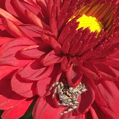 Profile Picture of John Crum (@jjcrum) on Twitter