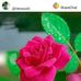 Profile Picture of Nandini Chandran (@nandini.chandran.393) on Facebook