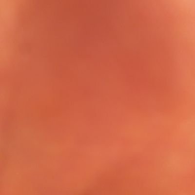 Profile Picture of Samuel Piccolo (@SamuelPiccolo2) on Twitter