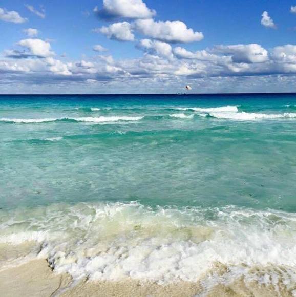 Profile Picture of Christine Boose (@sumchick2010) on Poshmark