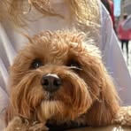 Profile Picture of Elisa Kraus (@Elisa-Kraus) on Facebook