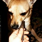 Profile Picture of Jimmy (@jimbolini_changa) on Instagram