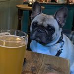 Profile Picture of Peter Dash (@peterdash) on Instagram