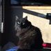 Profile Picture of Nancy Applegate (@nancy.applegate.7165) on Facebook
