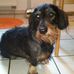 Profile Picture of Sammy Oswald (@sammy.oswald.58) on Facebook