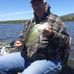 Profile Picture of Forrest Bush (@Forrest-Bush) on Facebook